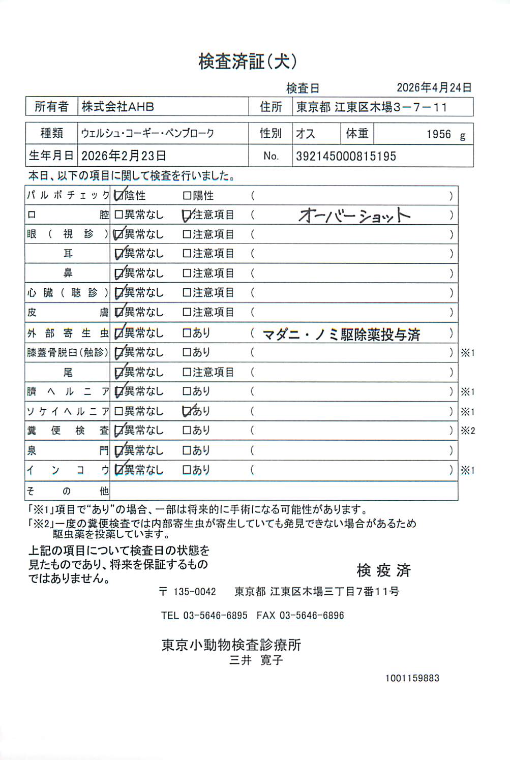 ウェルシュ・コーギー・ペンブローク