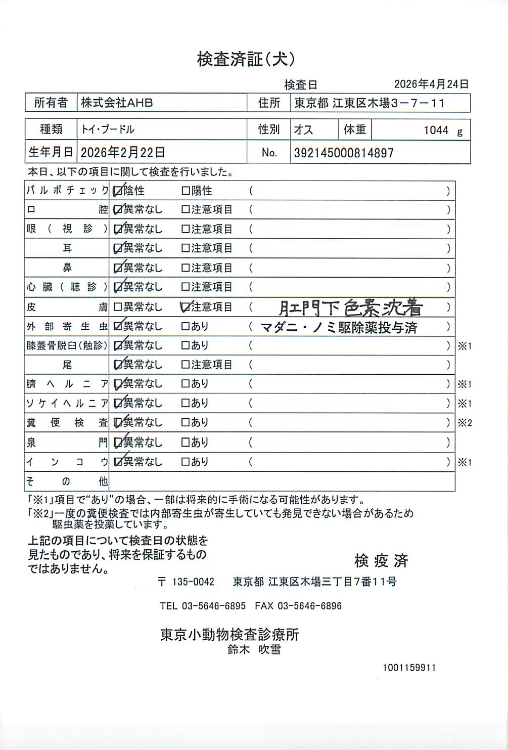 トイ・プードル