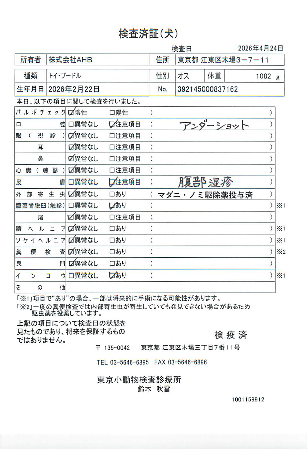 トイ・プードル