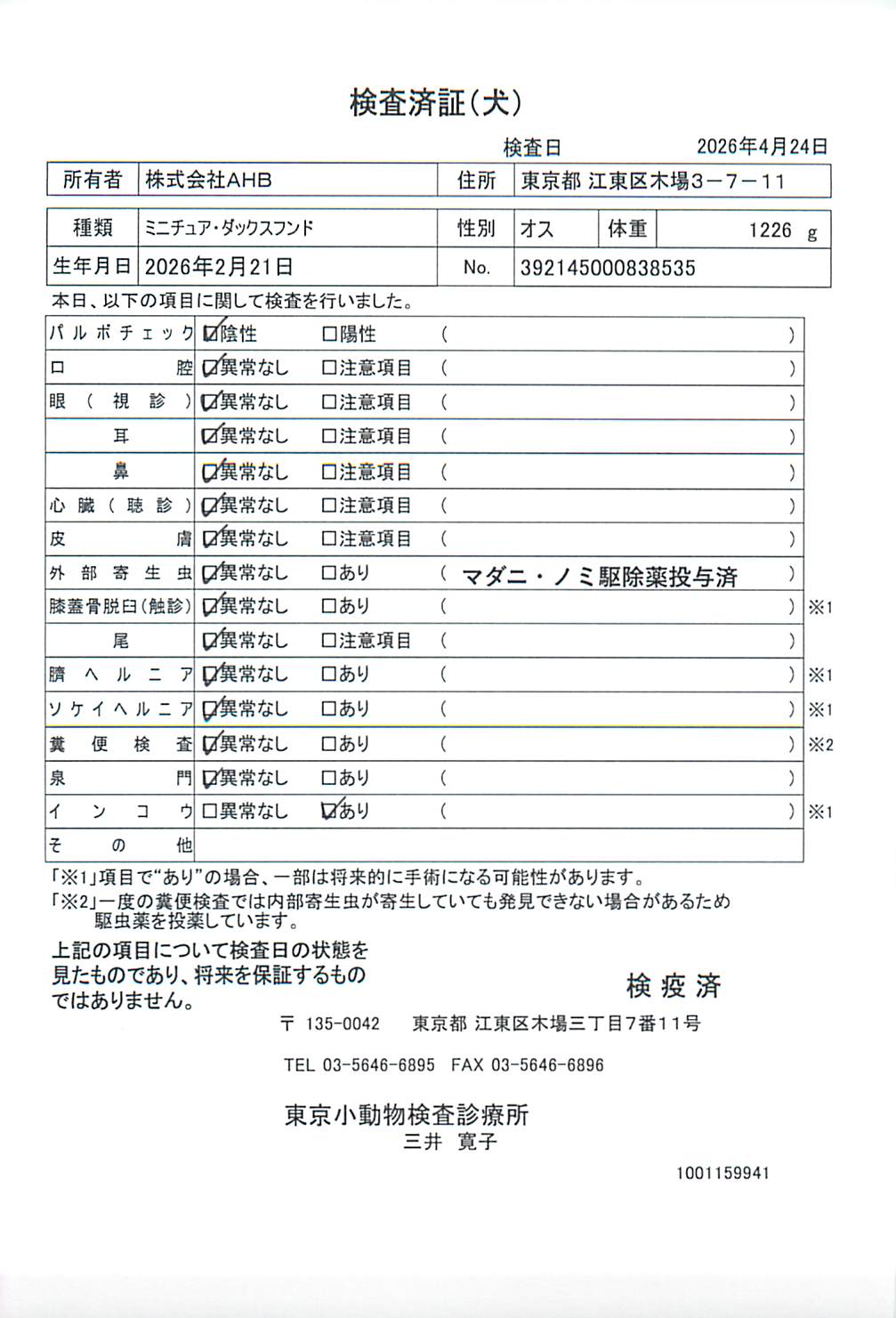 ミニチュア・ダックスフンド
