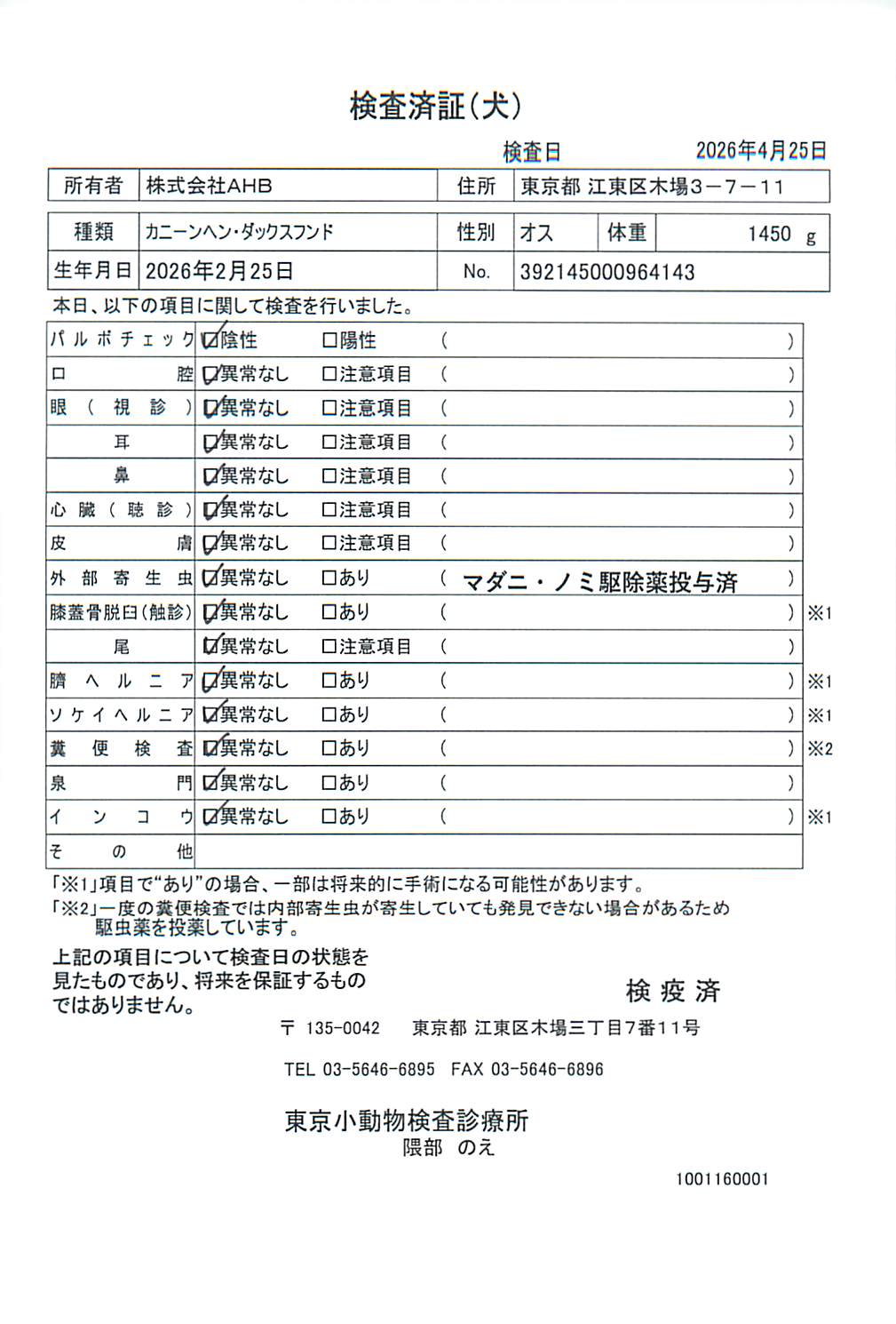 カニーンヘン・ダックスフンド