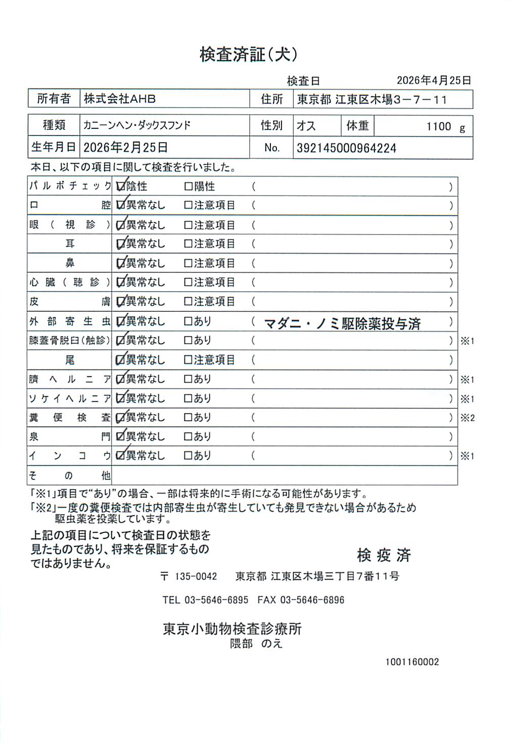 カニーンヘン・ダックスフンド