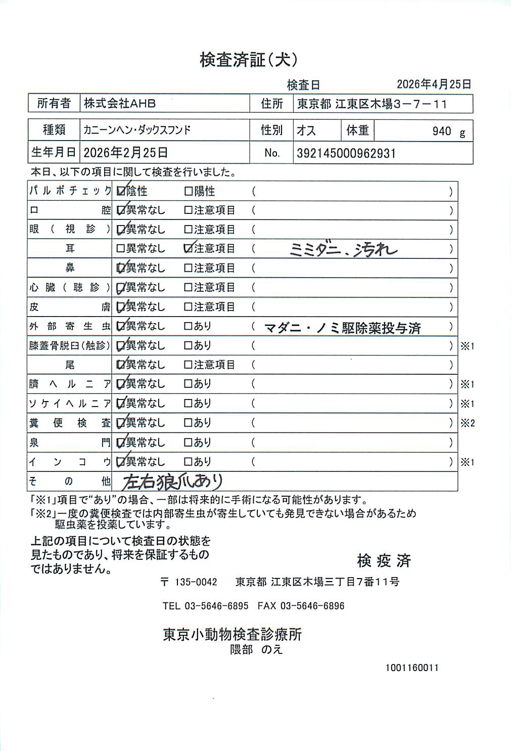 カニーンヘン・ダックスフンド