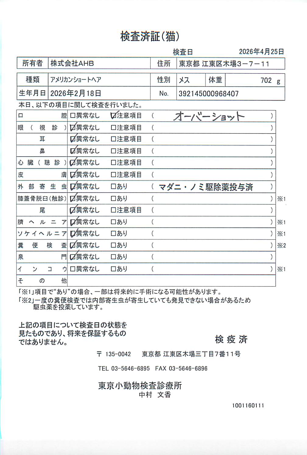 アメリカンショートヘア