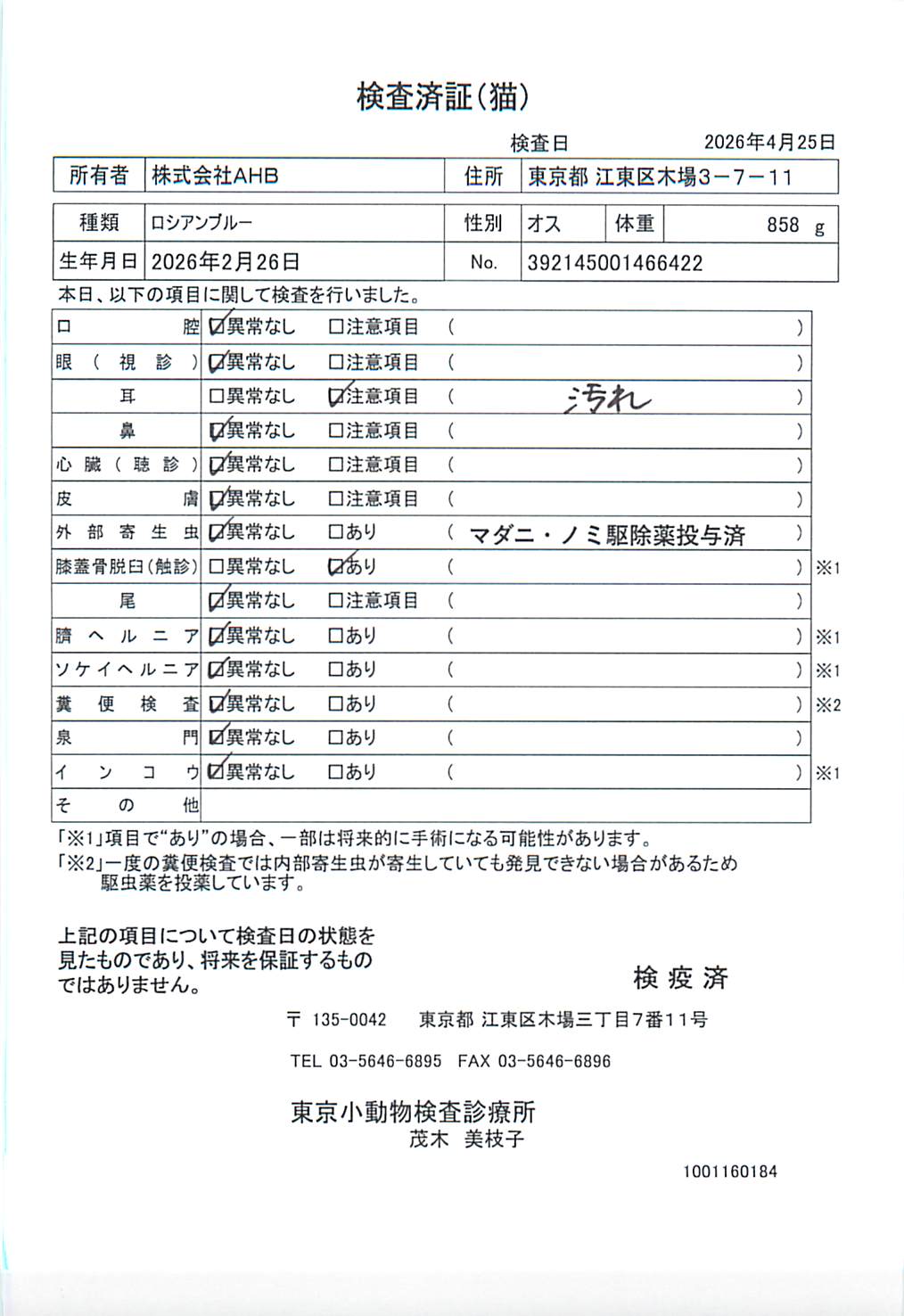 ロシアンブルー