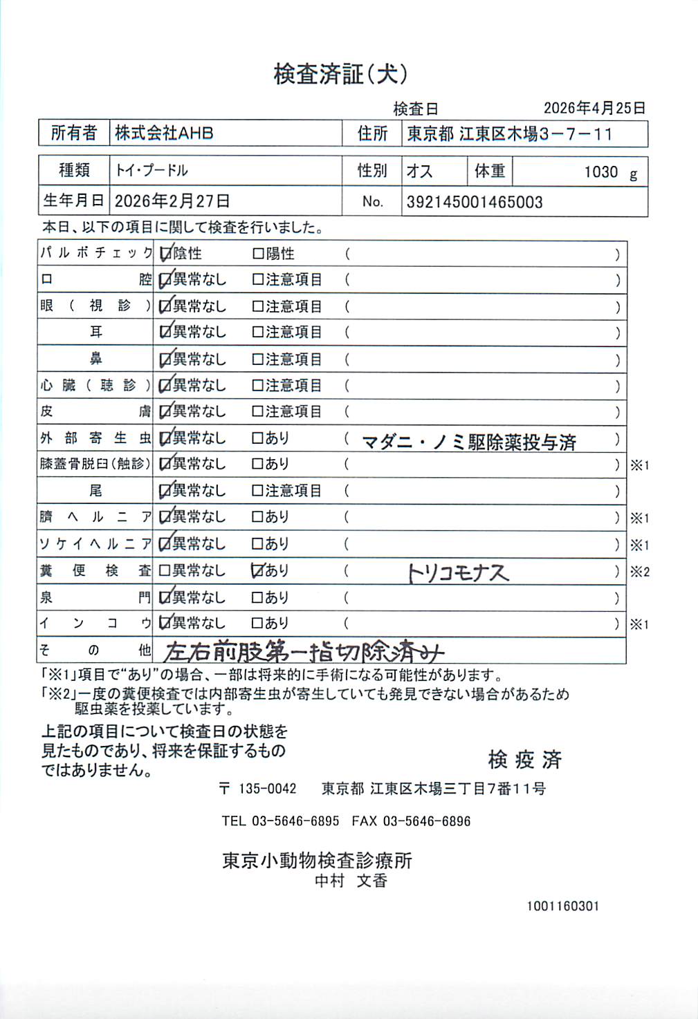 トイ・プードル
