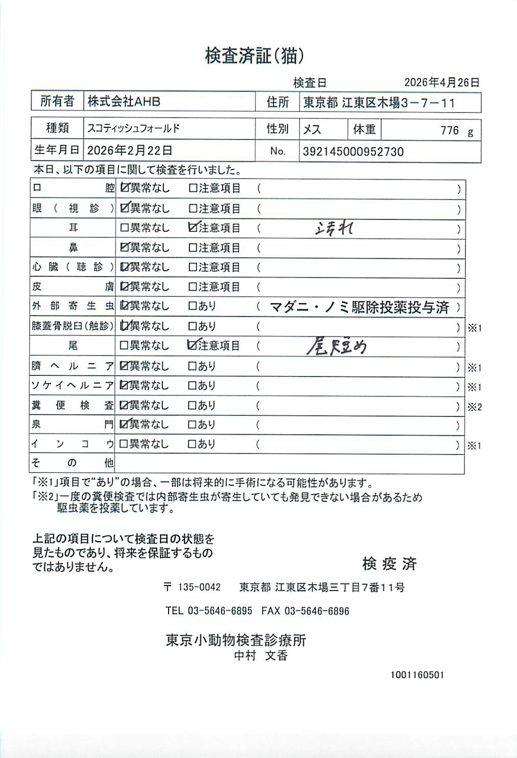 スコティッシュフォールド