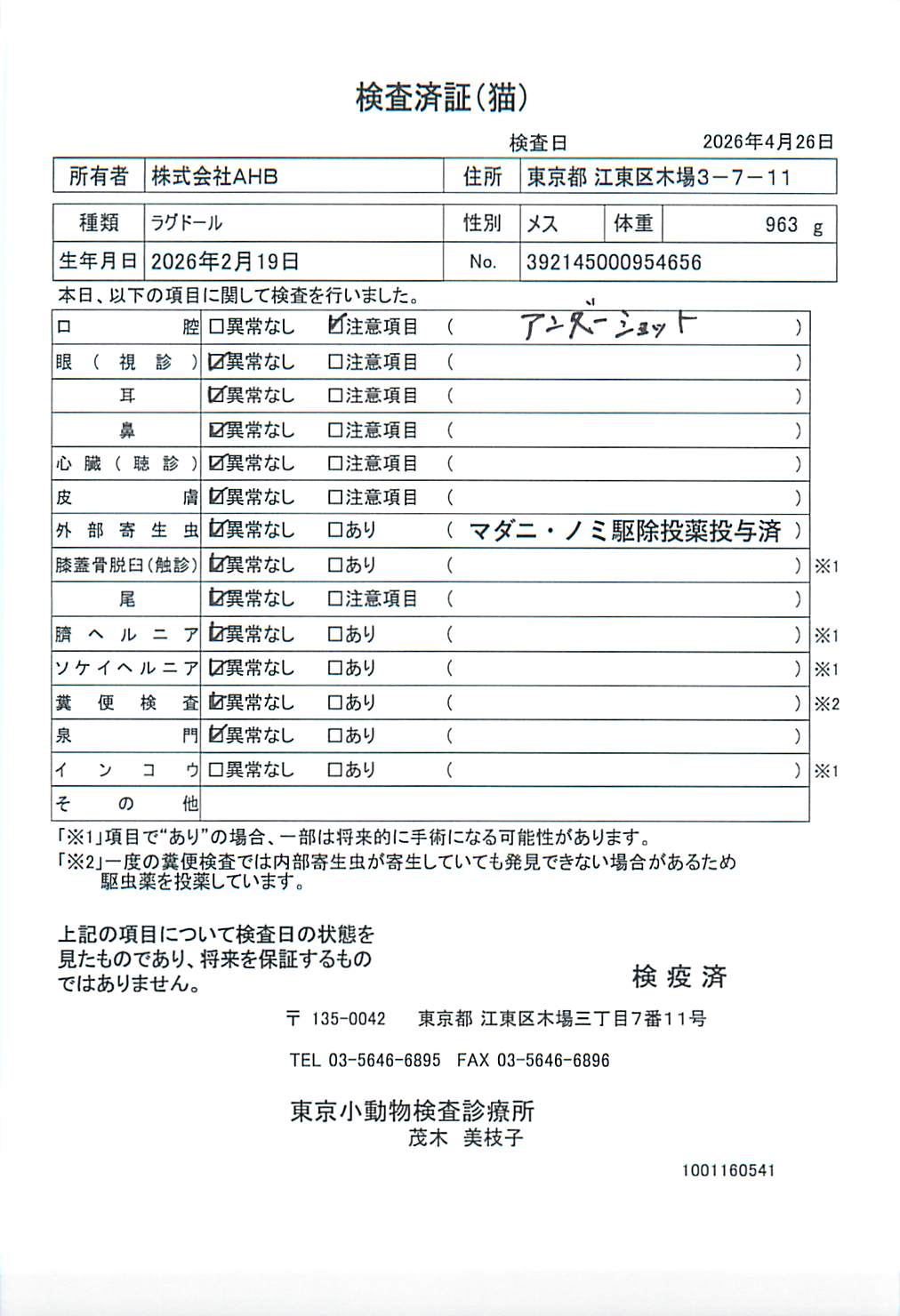 ラグドール