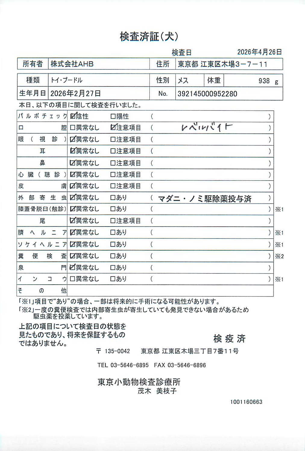 トイ・プードル