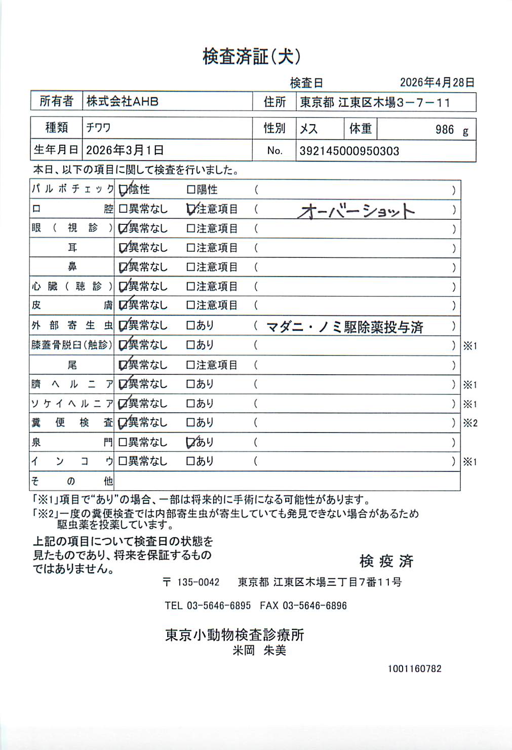 チワワ
