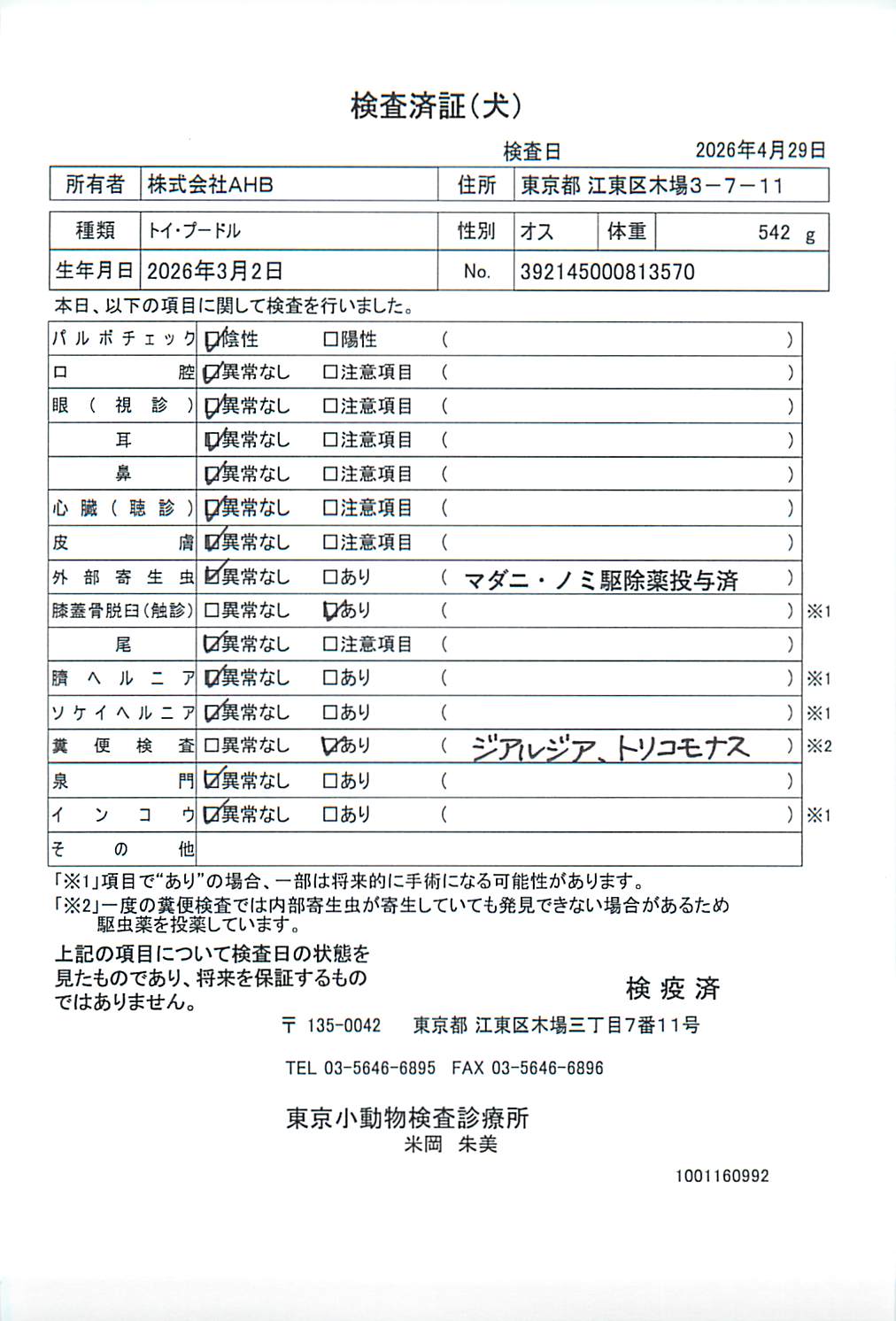 トイ・プードル