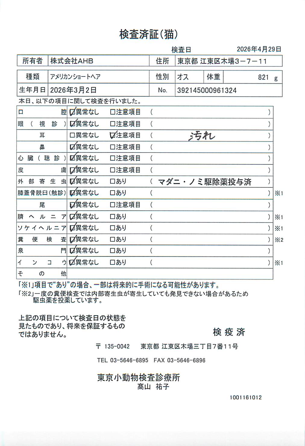 アメリカンショートヘア