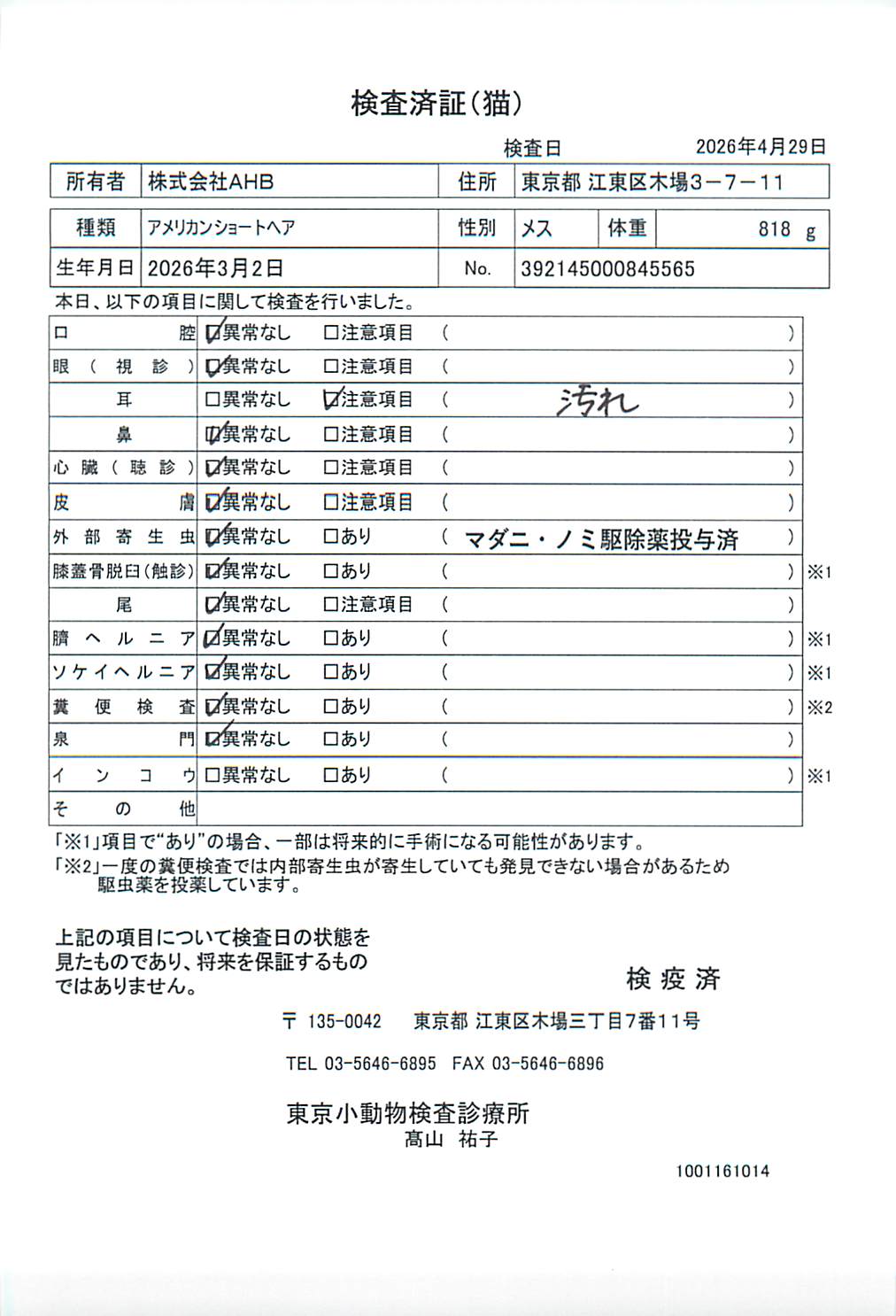 アメリカンショートヘア