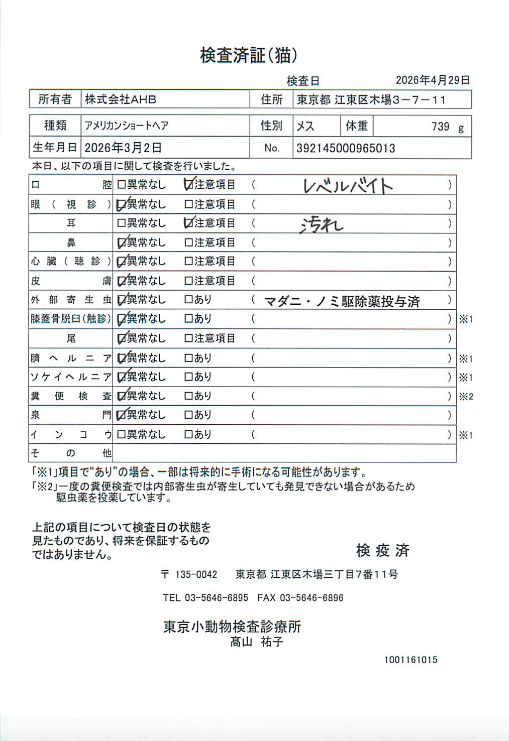 アメリカンショートヘア