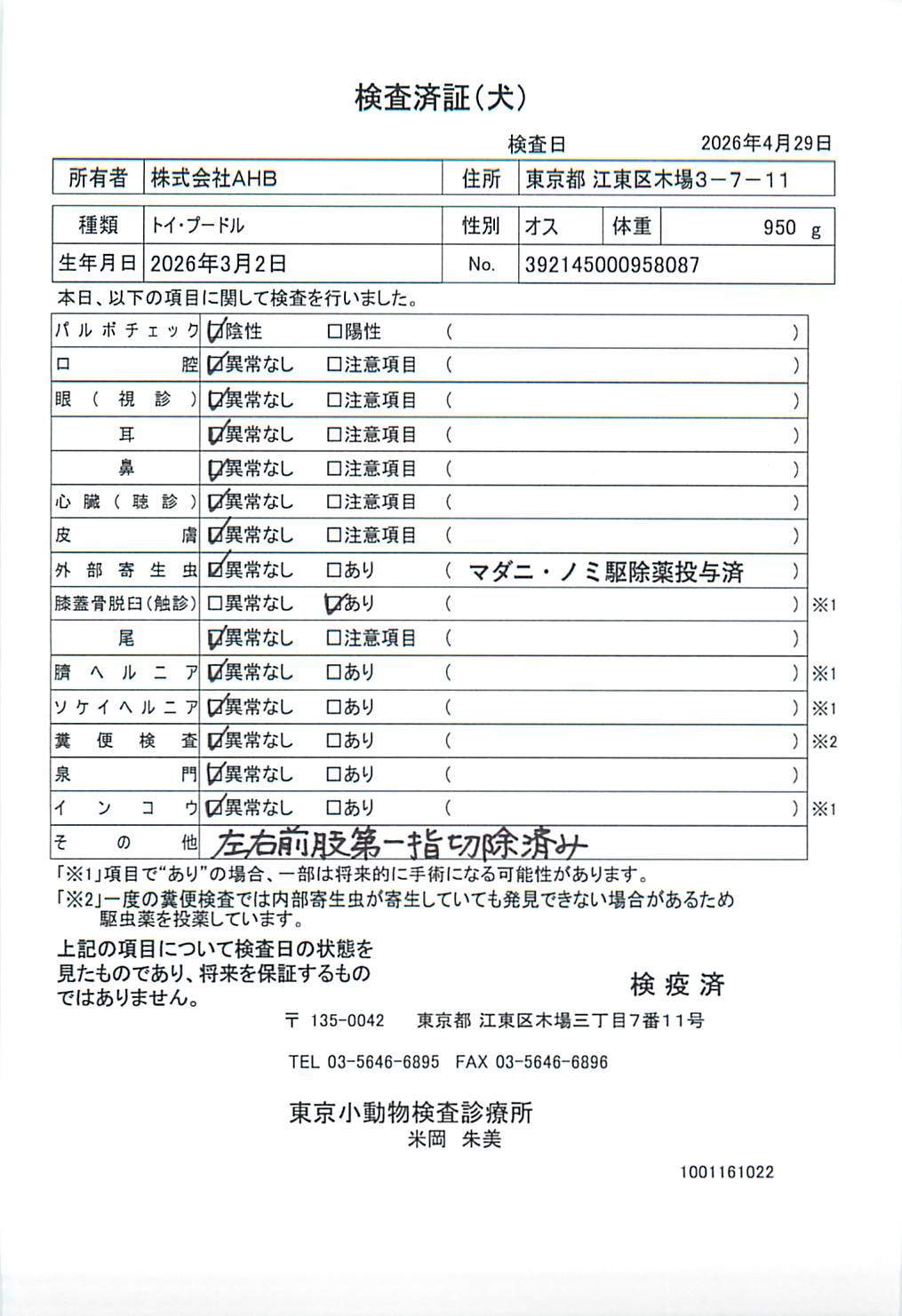 トイ・プードル