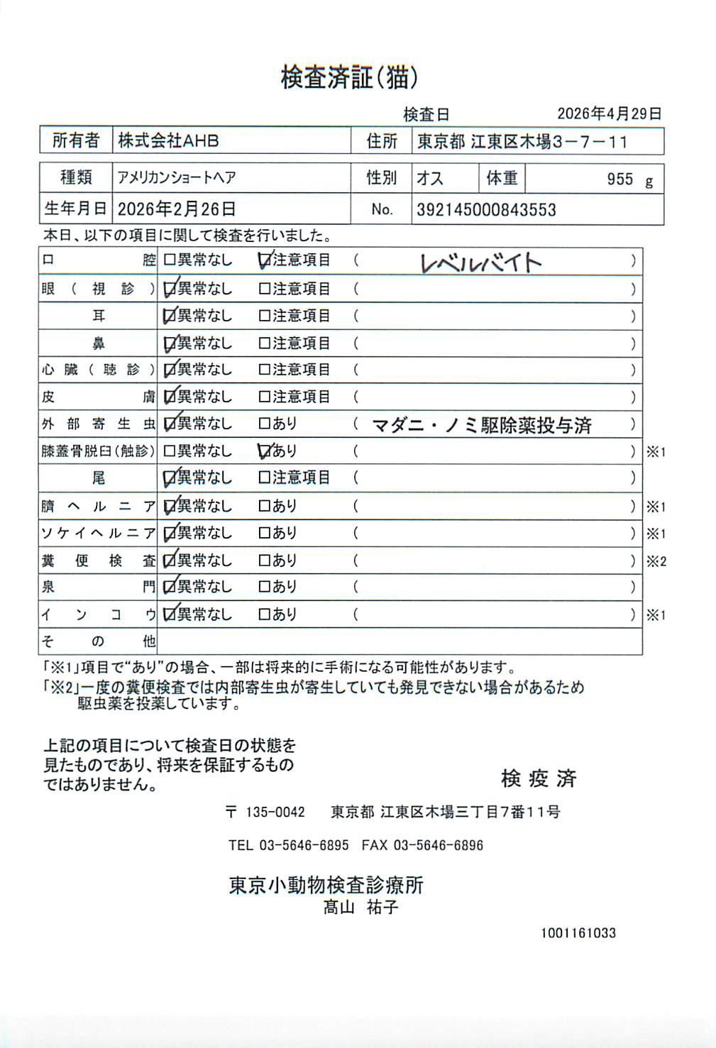 アメリカンショートヘア