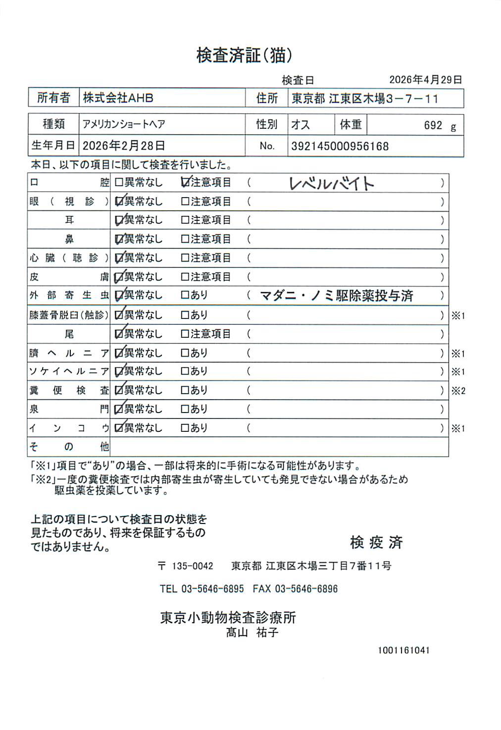 アメリカンショートヘア