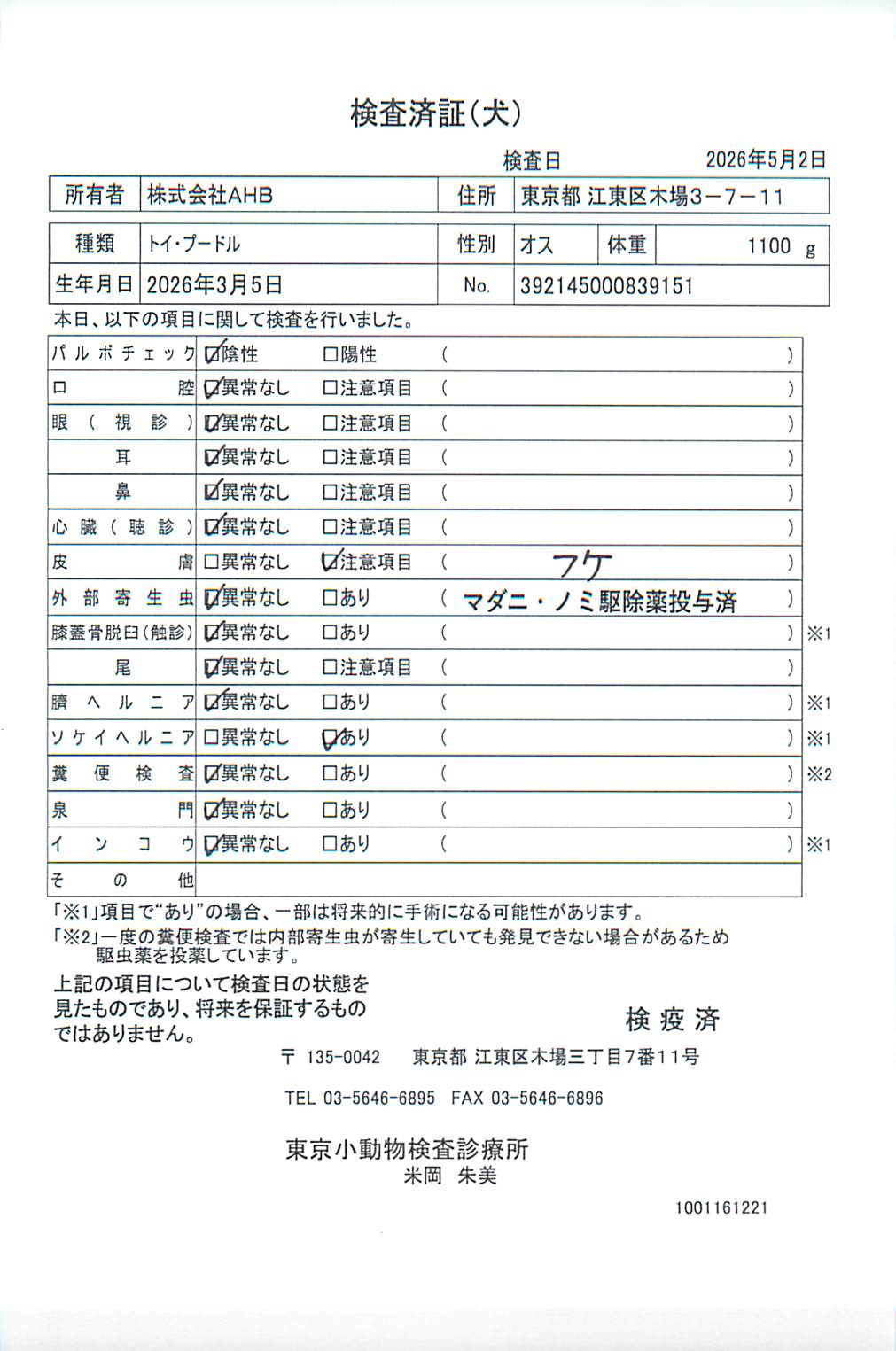 トイ・プードル