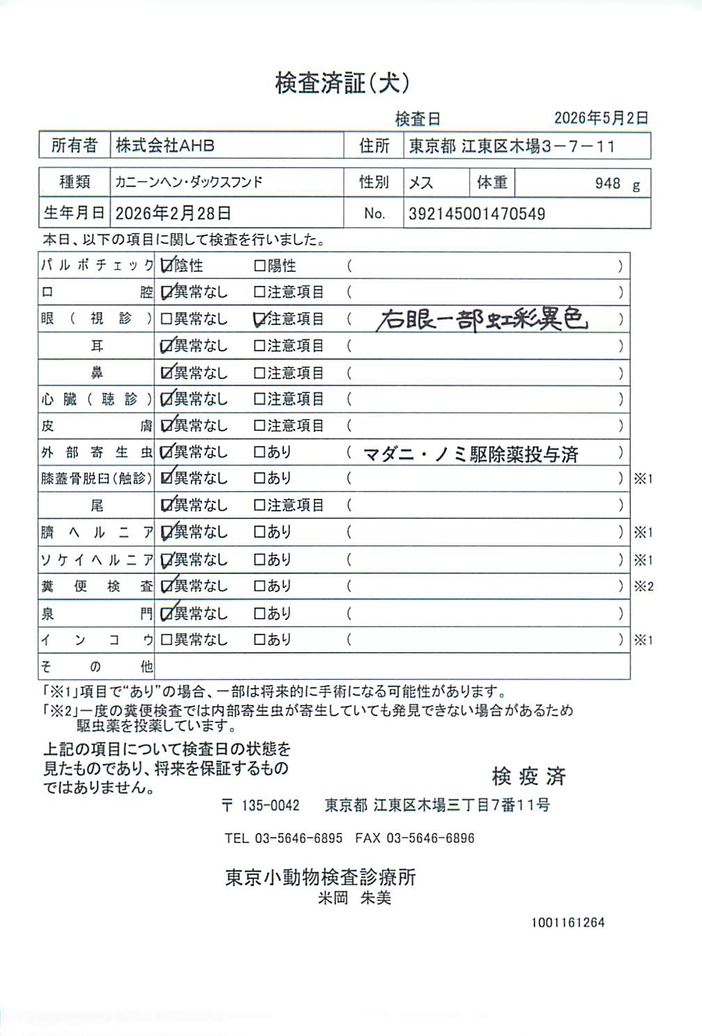 カニーンヘン・ダックスフンド