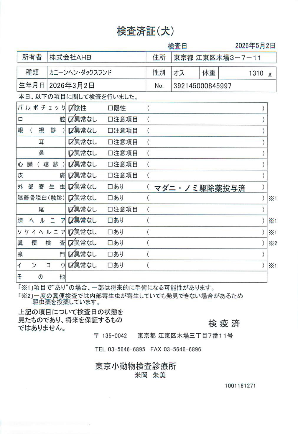カニーンヘン・ダックスフンド