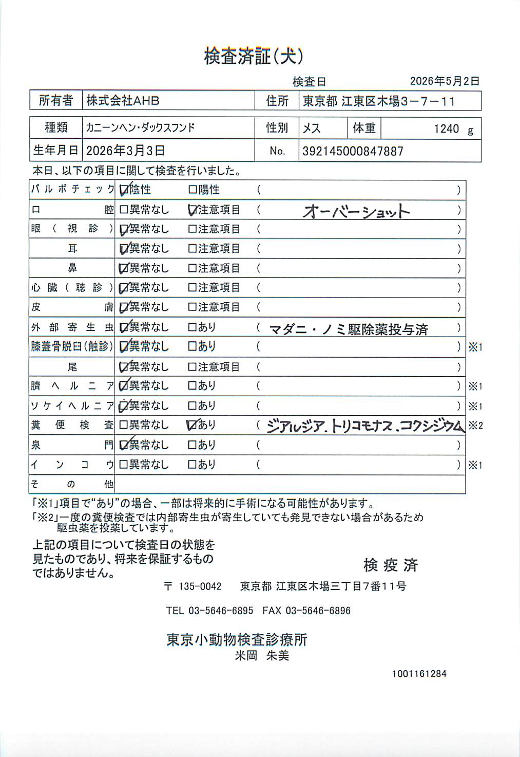 カニーンヘン・ダックスフンド