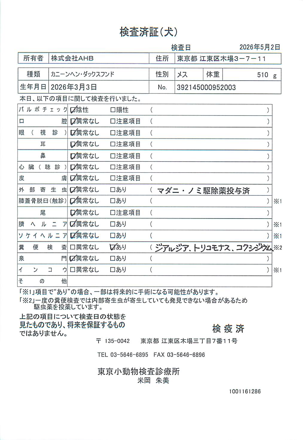 カニーンヘン・ダックスフンド