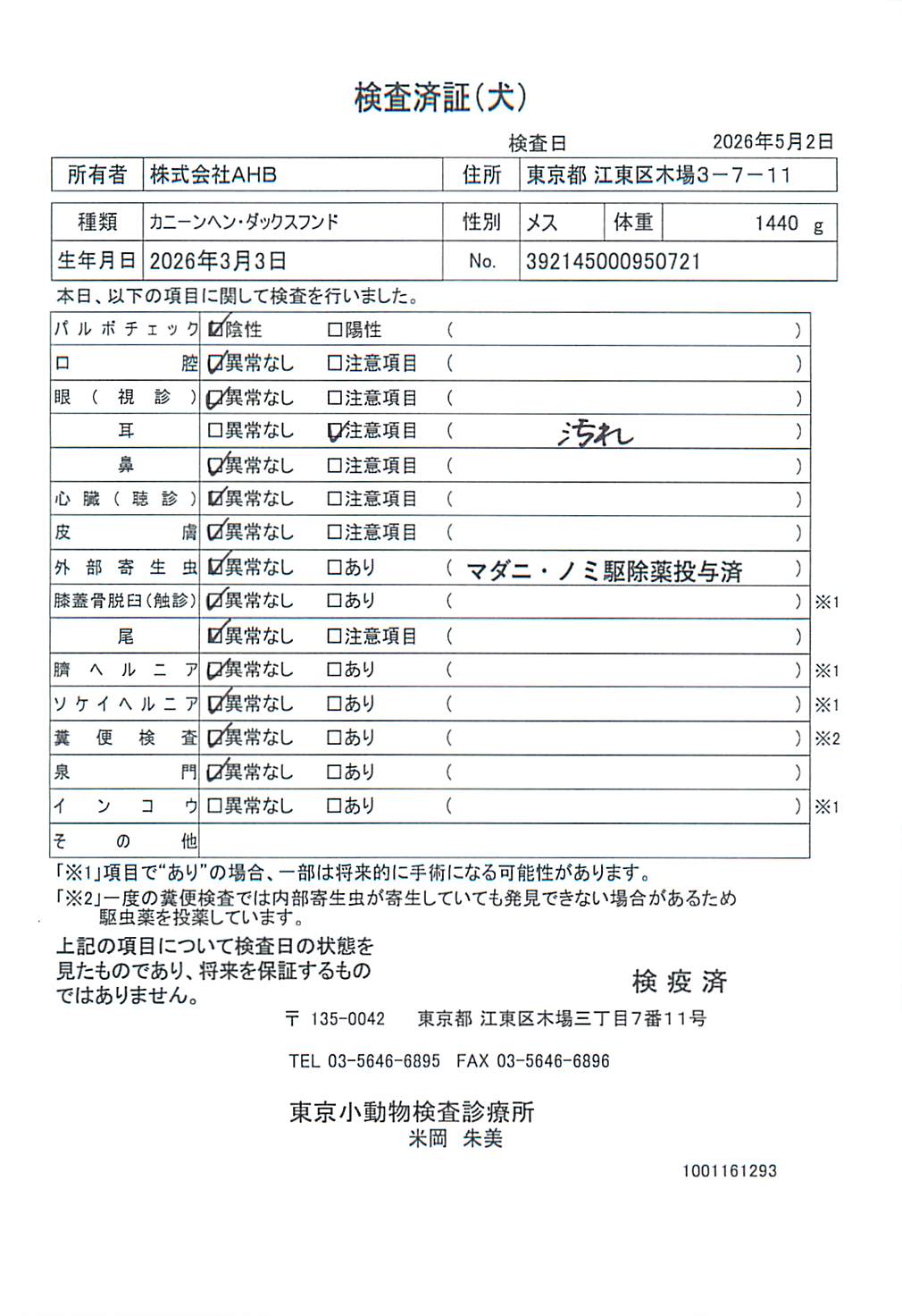 カニーンヘン・ダックスフンド
