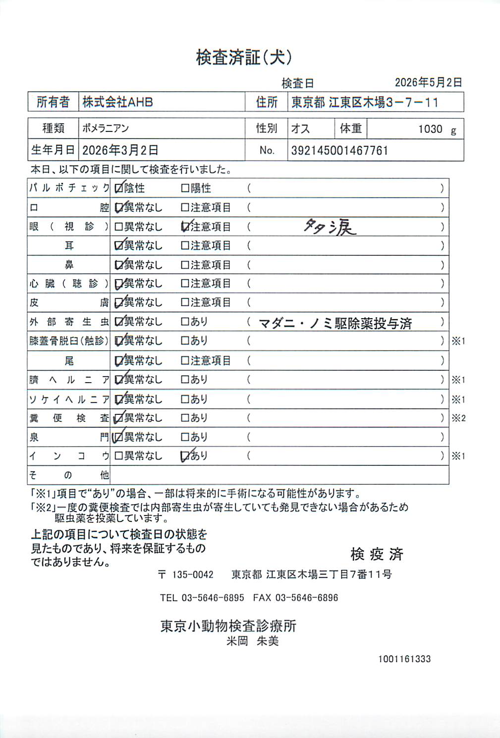ポメラニアン