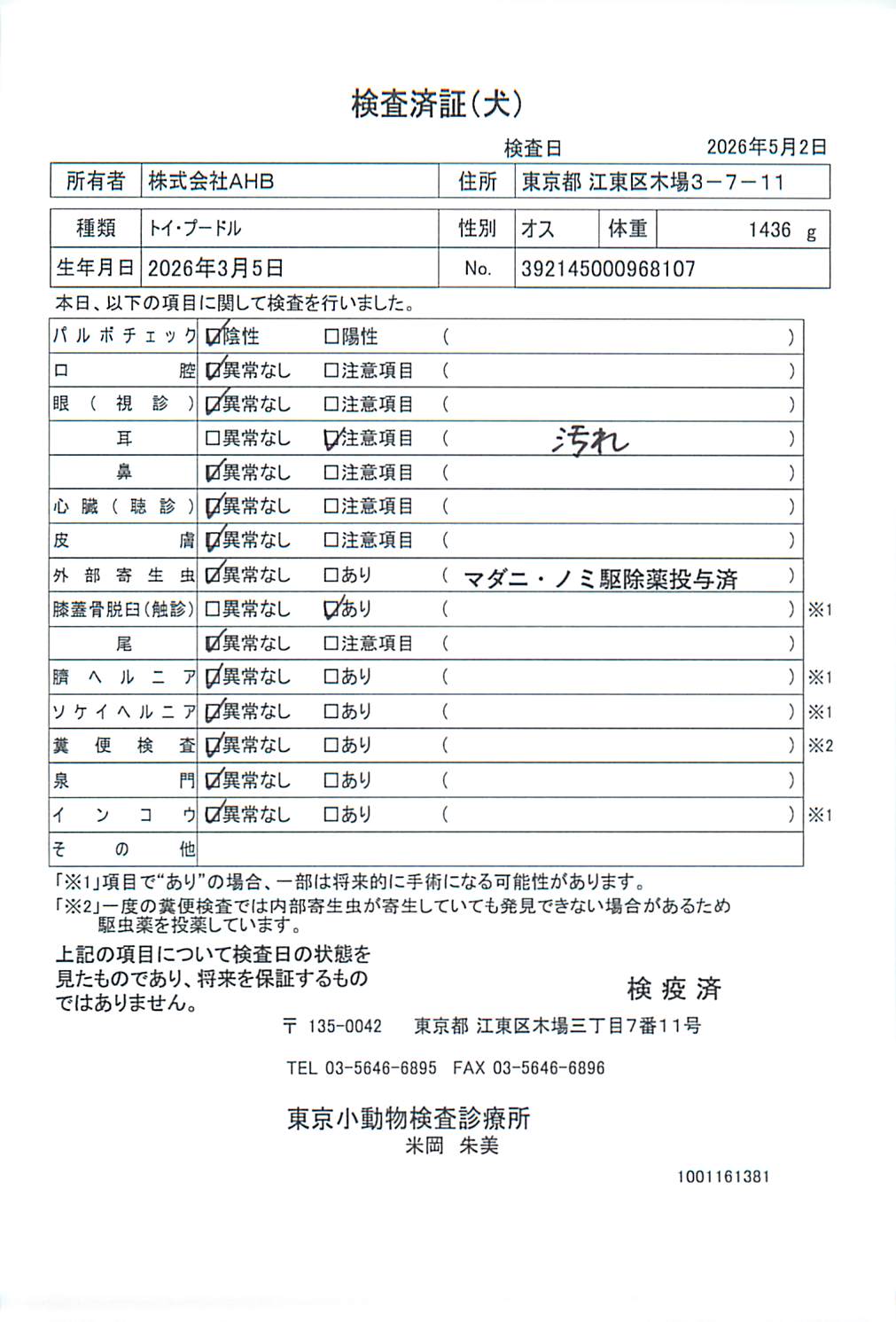 トイ・プードル