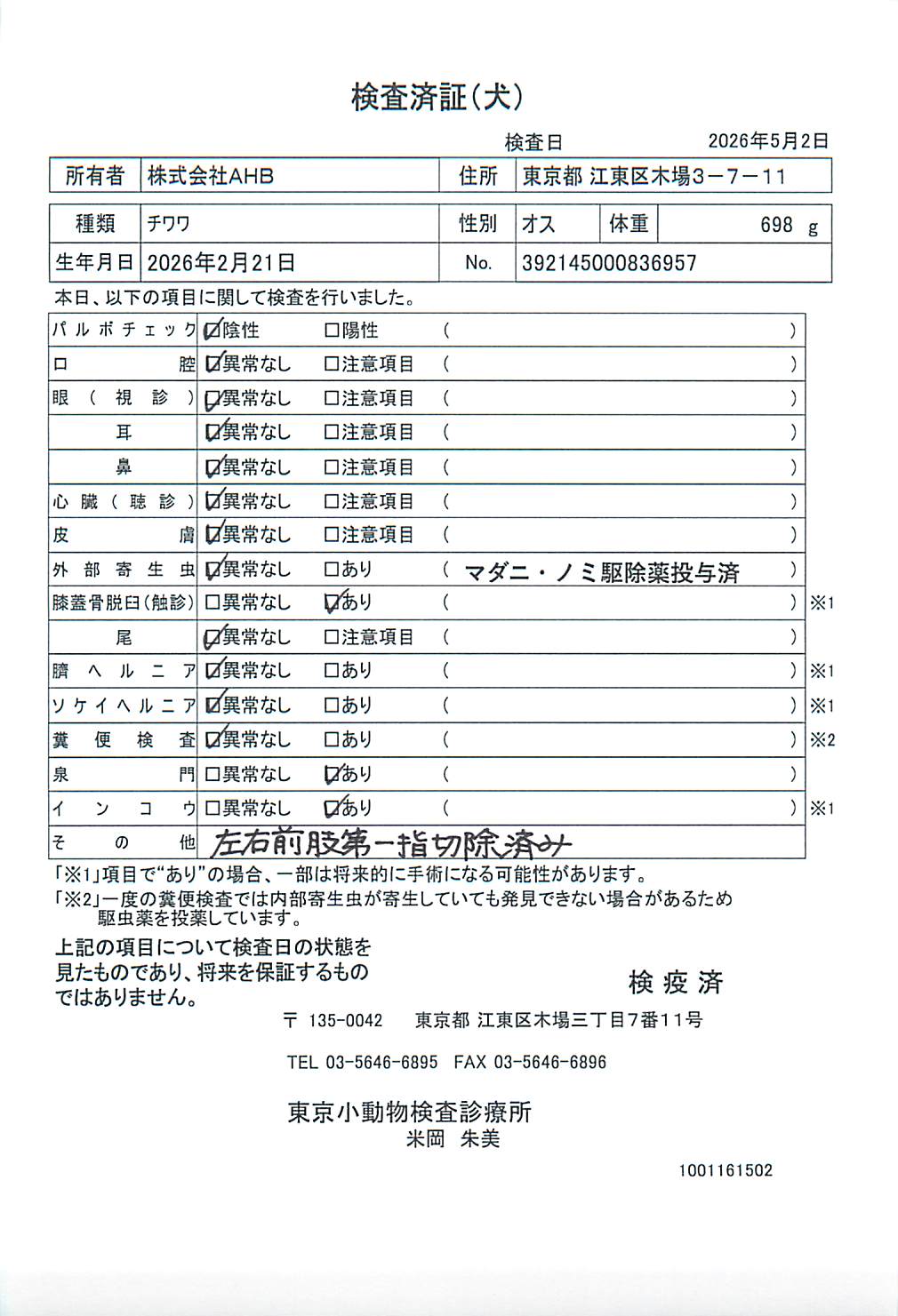 チワワ