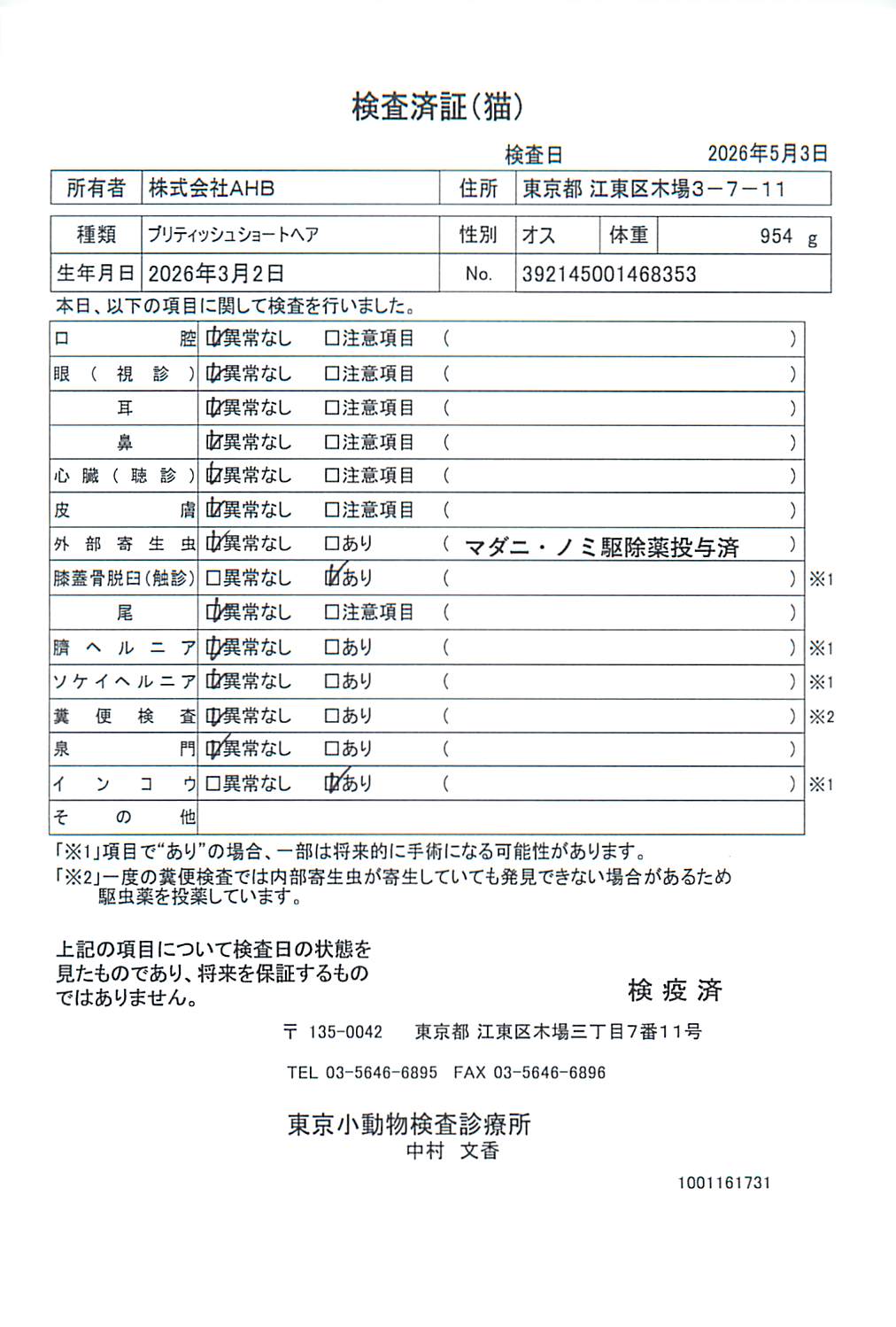 ブリティッシュショートヘア