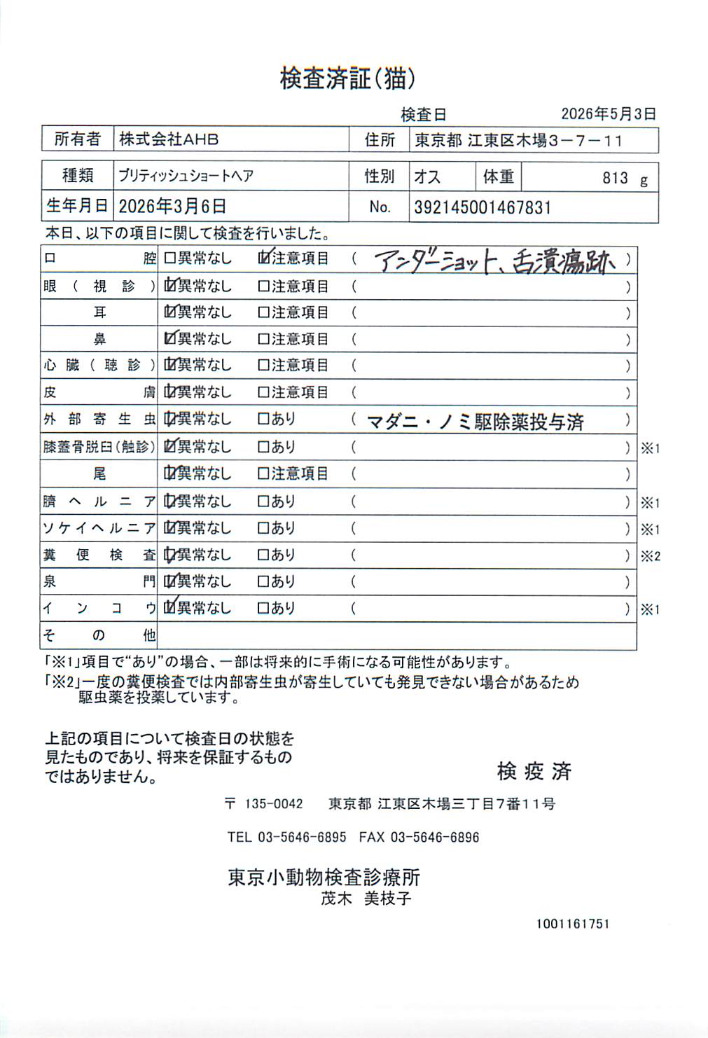 ブリティッシュショートヘア