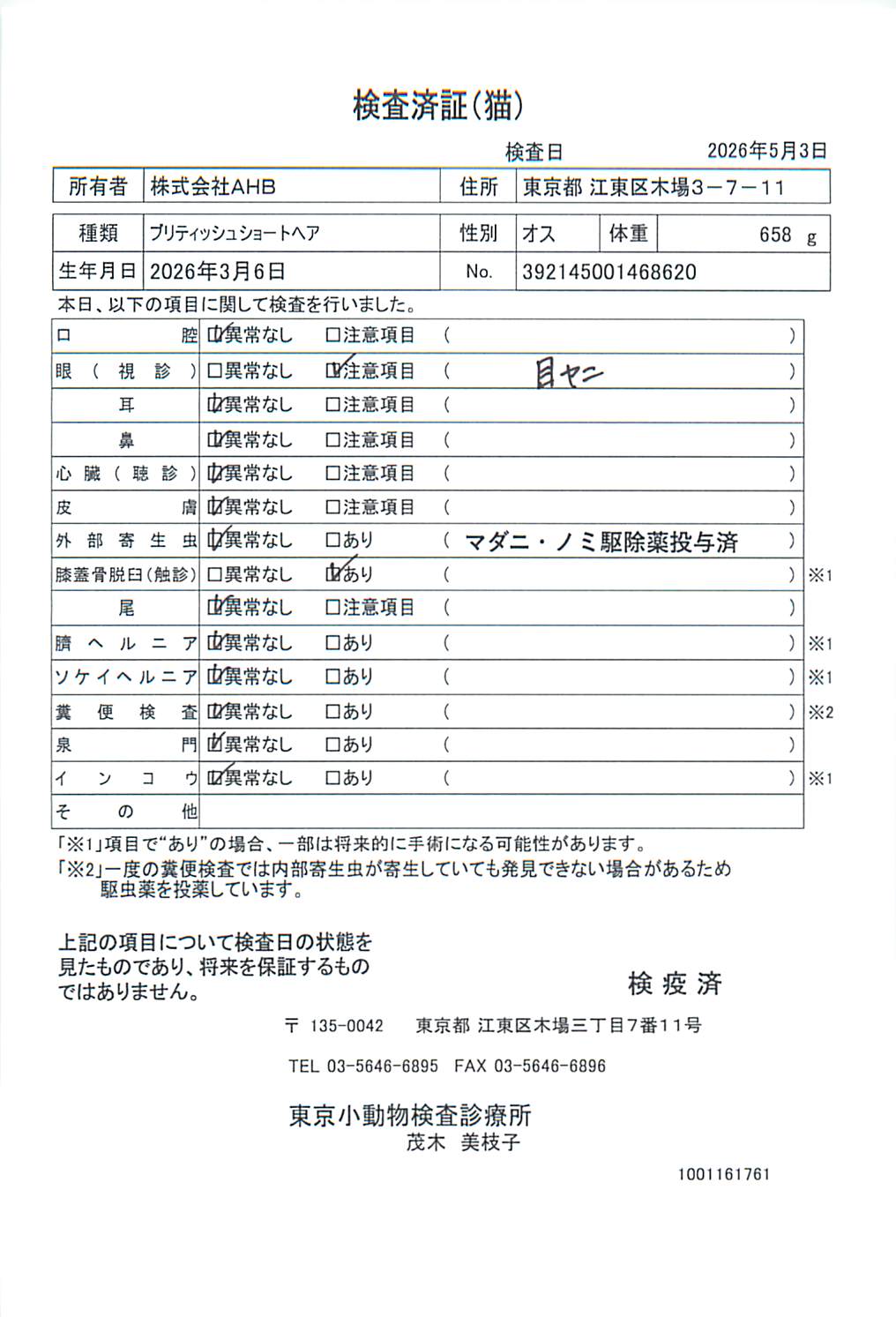ブリティッシュショートヘア