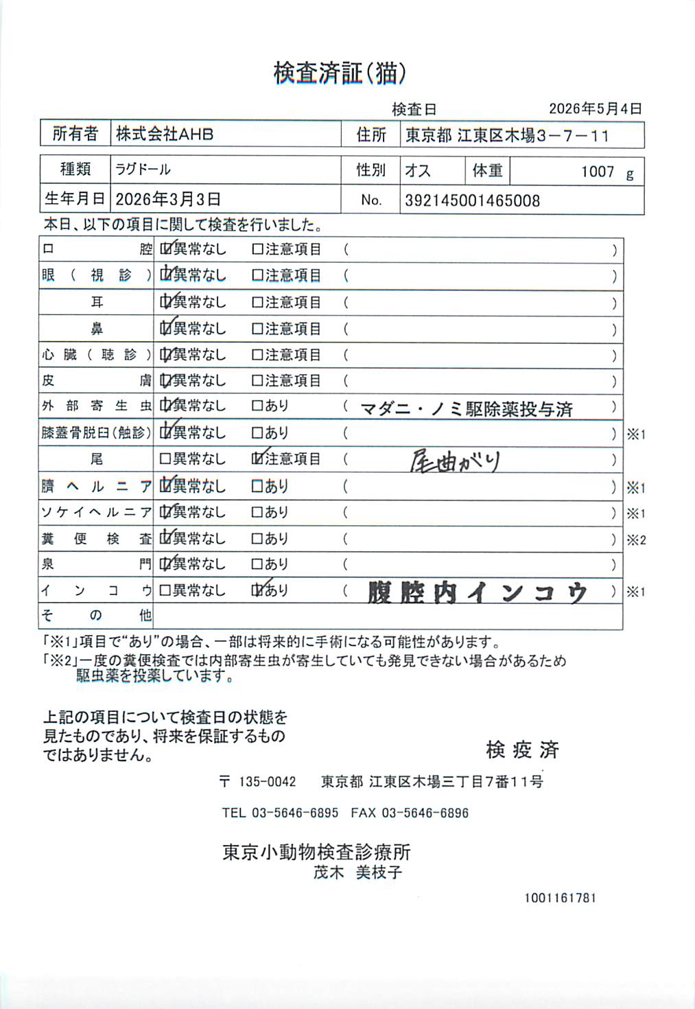 ラグドール