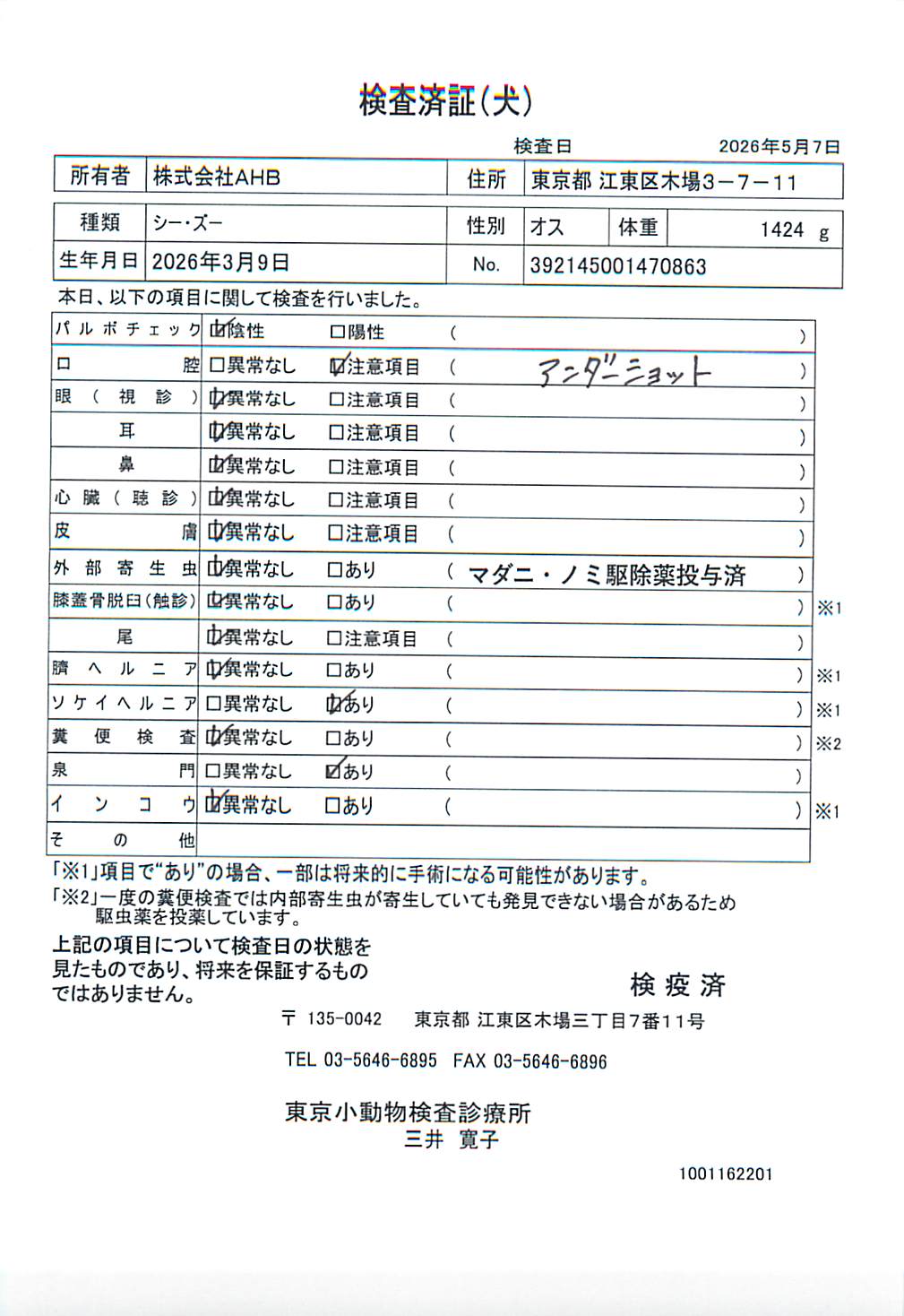シー・ズー