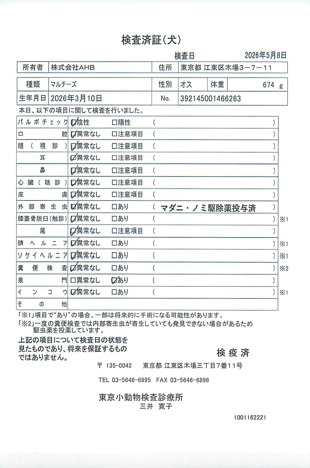 マルチーズ
