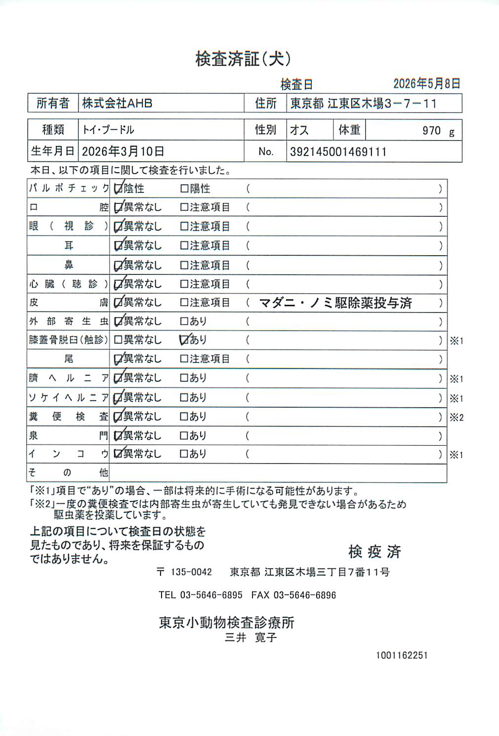 トイ・プードル
