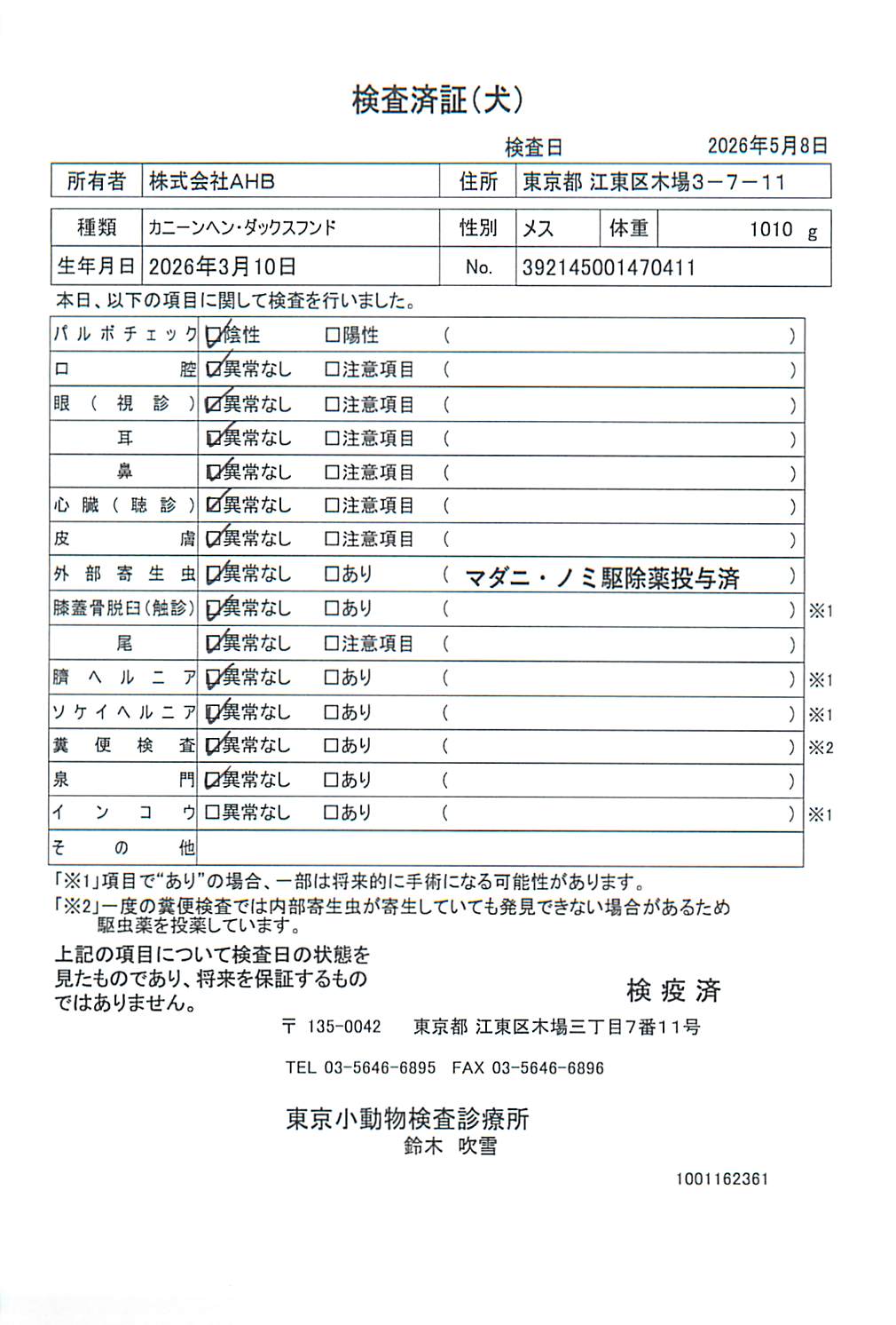 カニーンヘン・ダックスフンド