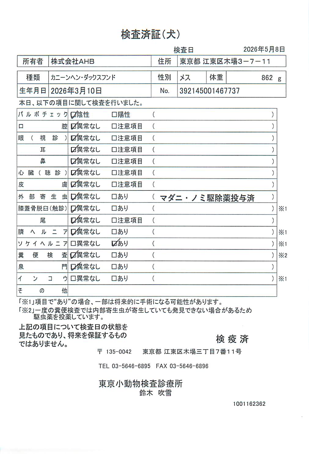 カニーンヘン・ダックスフンド