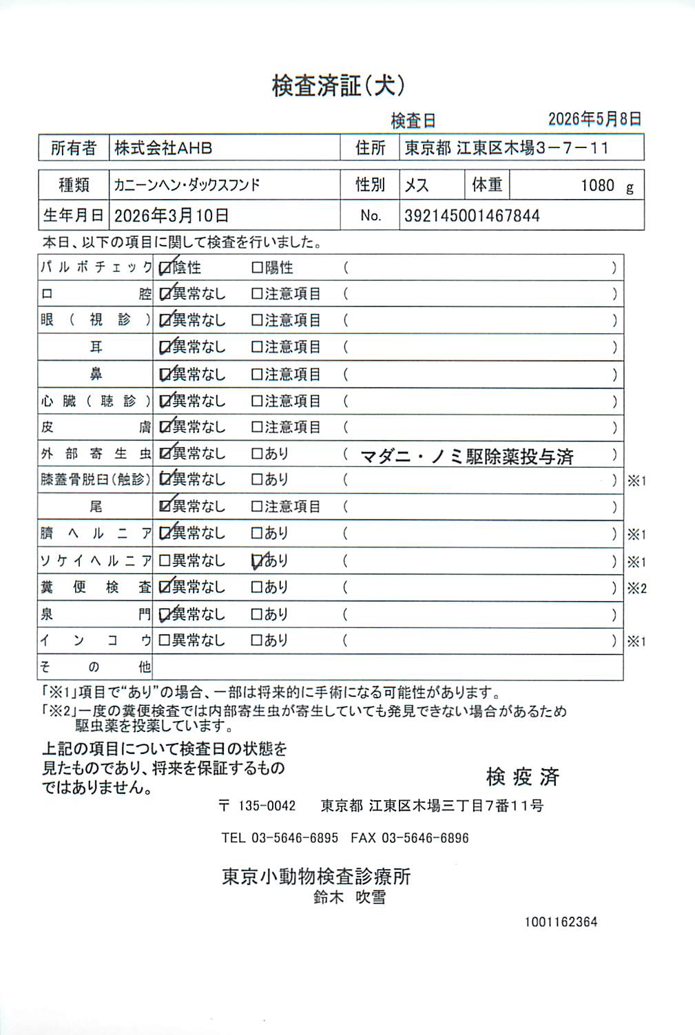 カニーンヘン・ダックスフンド