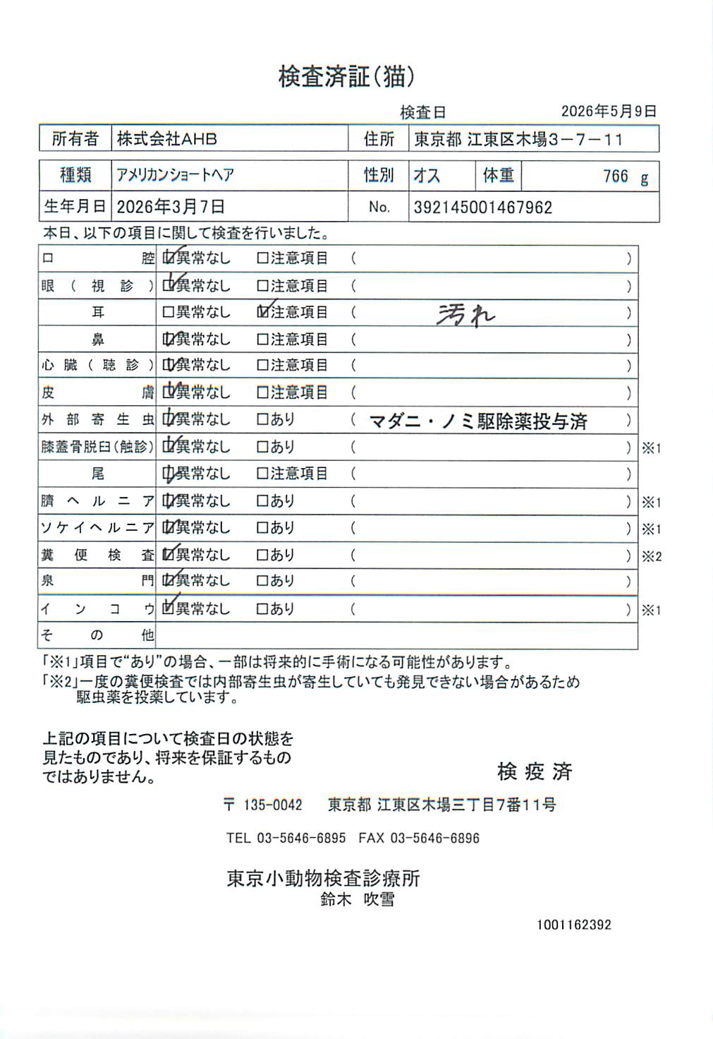 アメリカンショートヘア