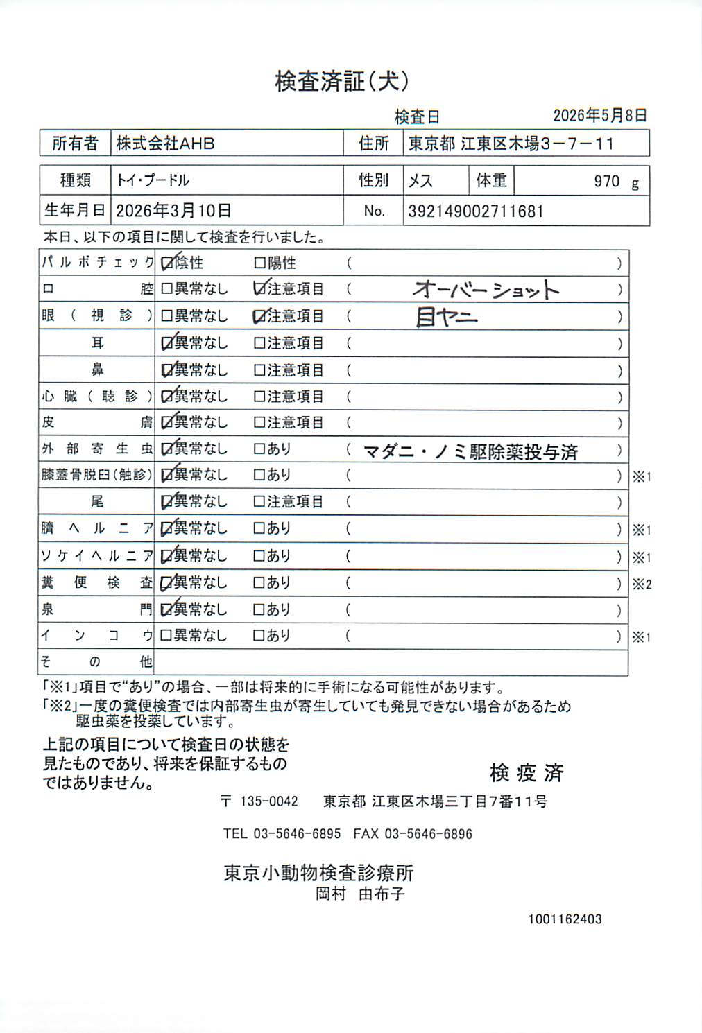 トイ・プードル