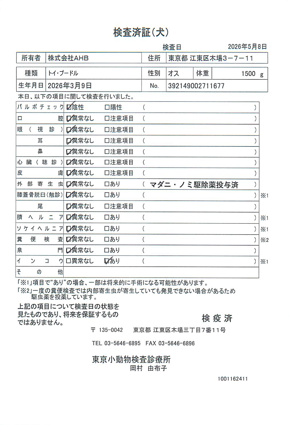 トイ・プードル