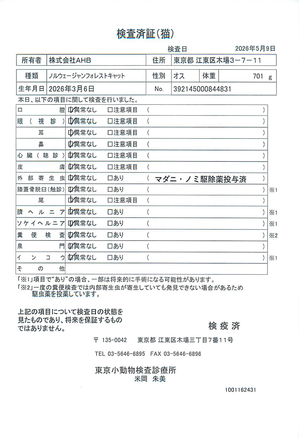 ノルウェージャンフォレストキャット