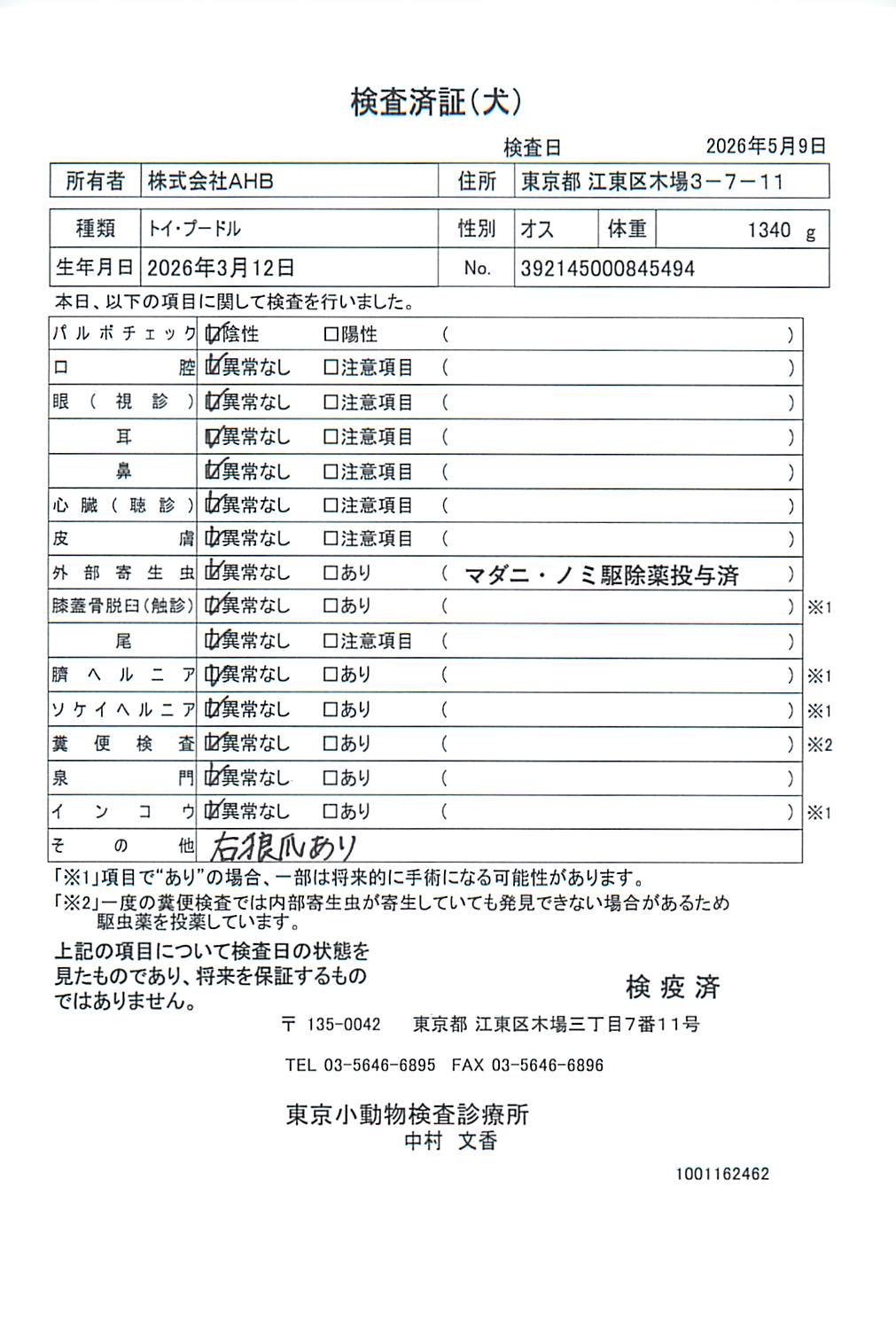 トイ・プードル