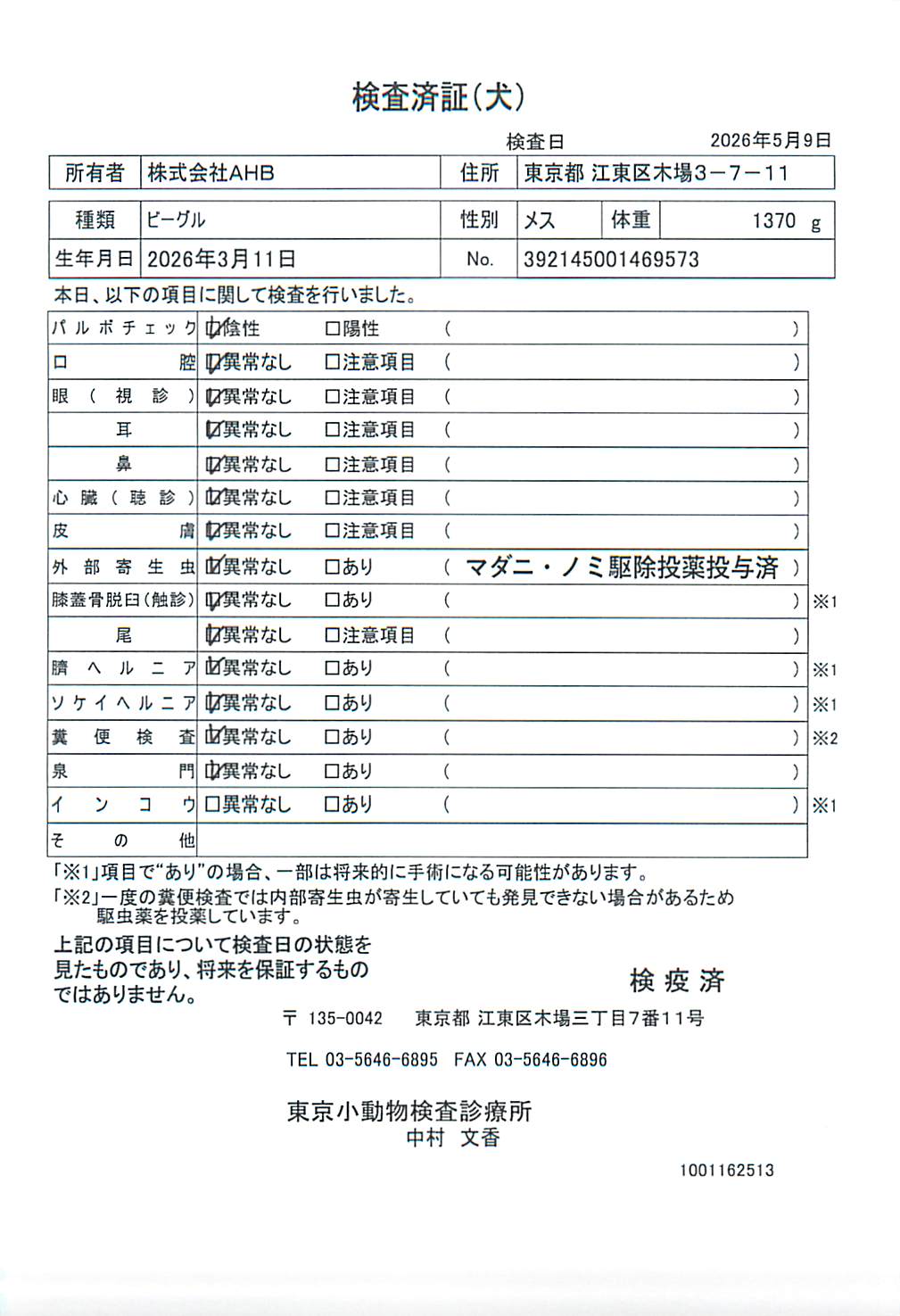 ビーグル