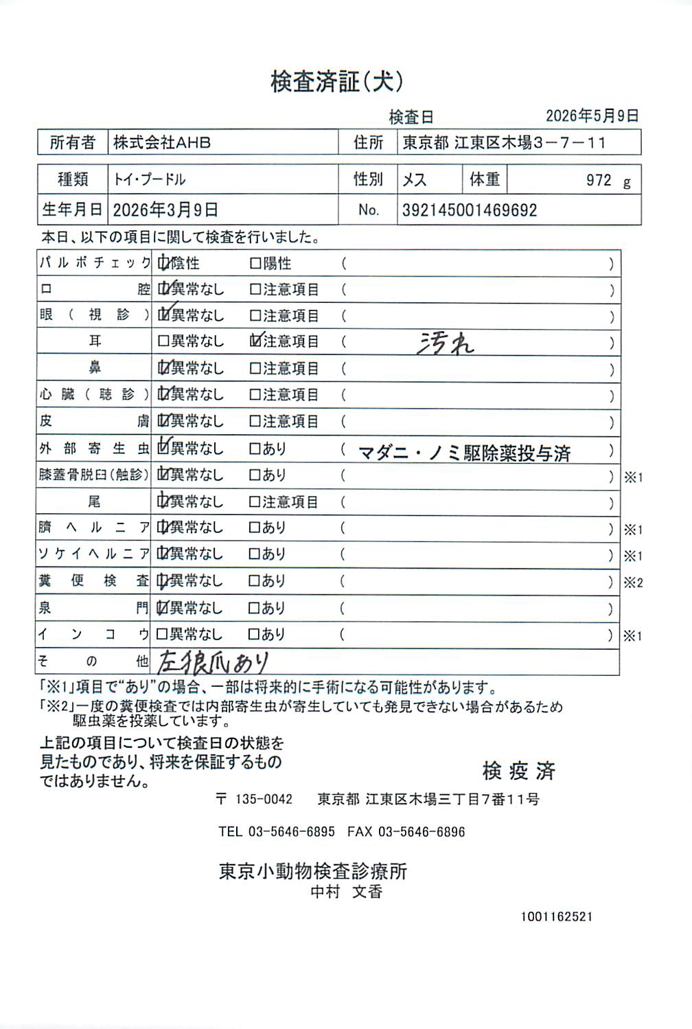 トイ・プードル