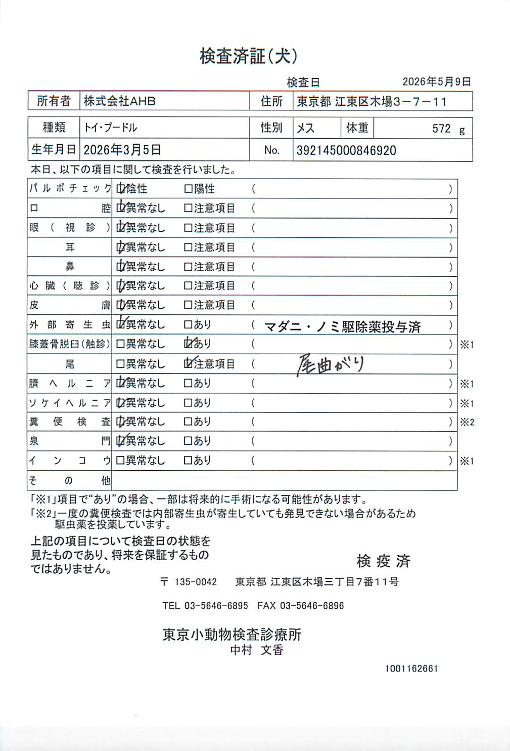 トイ・プードル