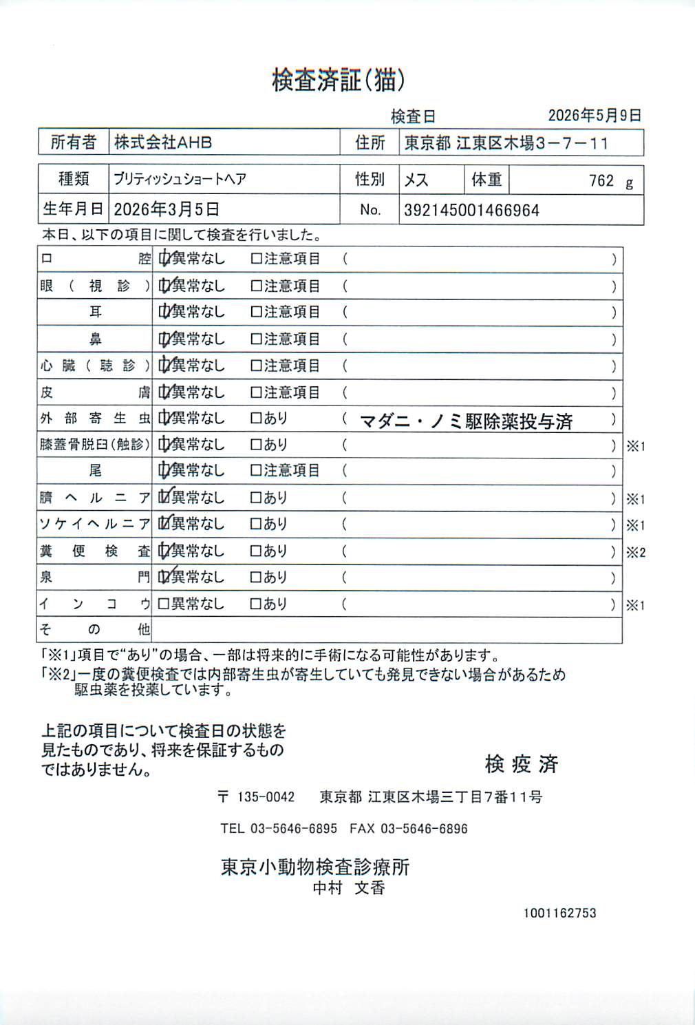 ブリティッシュショートヘア