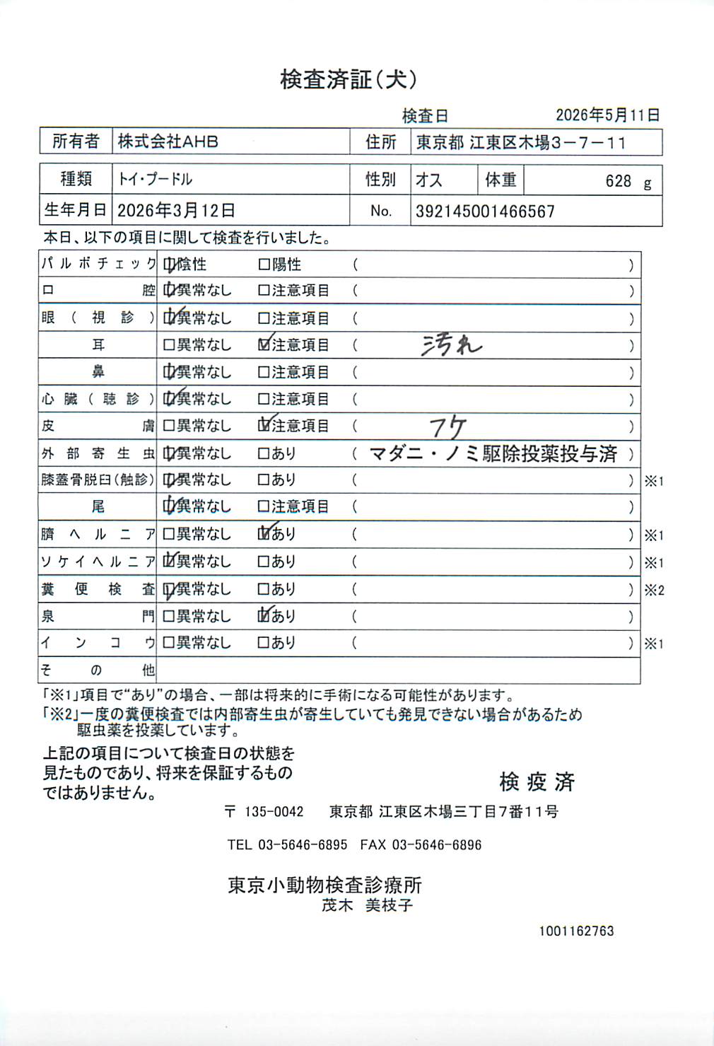 トイ・プードル